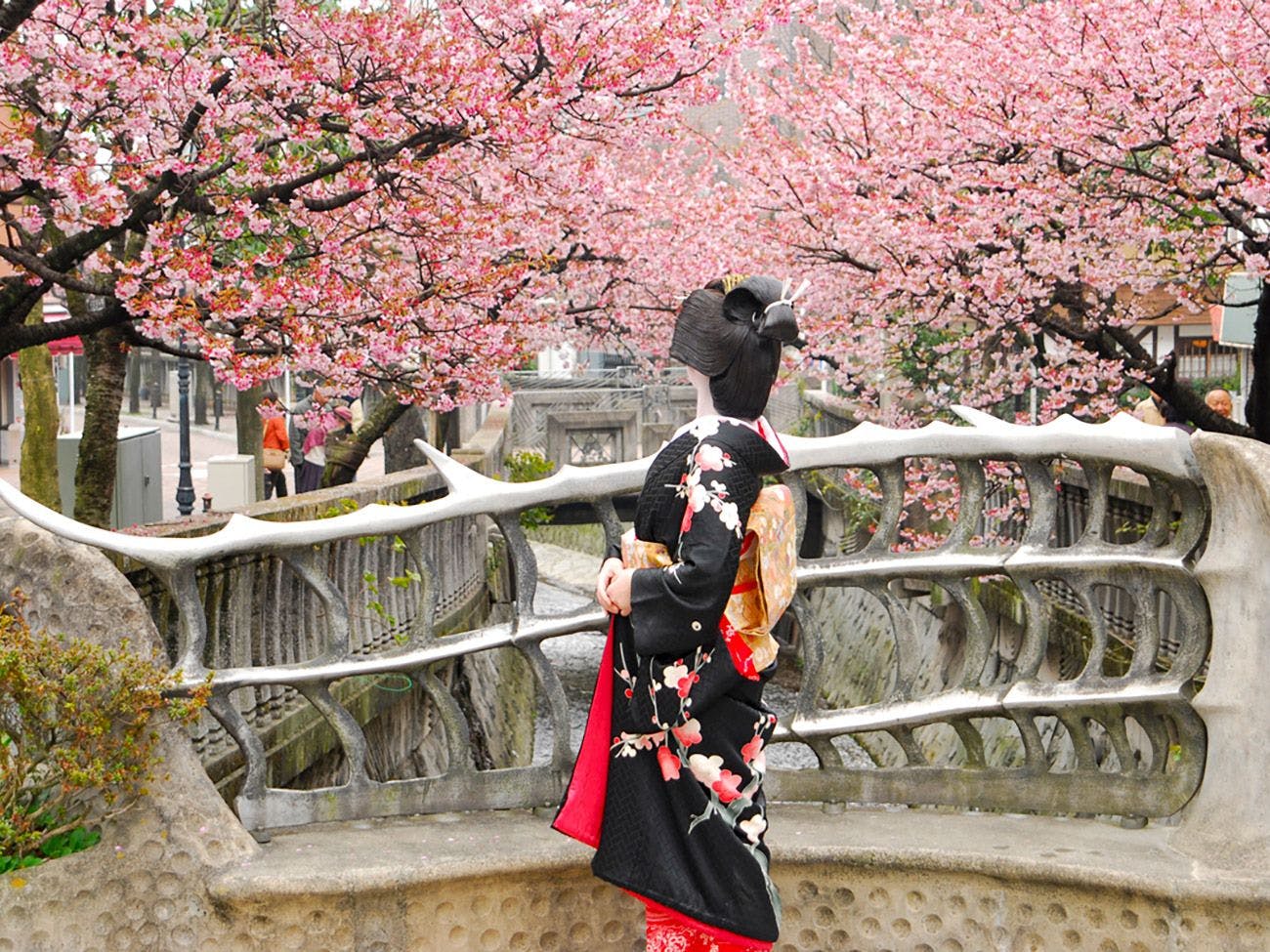 Taman Ume Atami: Plum awal & sakura awal!