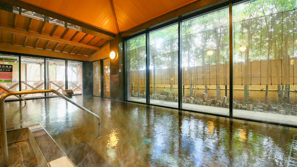 Ooedo Onsen Monogatari Premium Atami