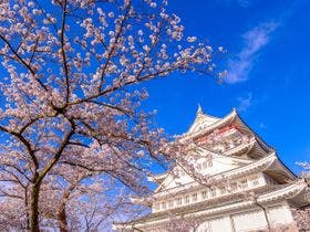 大江戸温泉物語 熱海温泉 あたみ