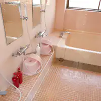 (Kamar mandi wanita)