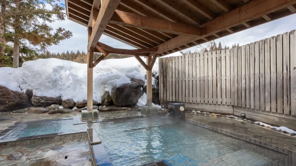 Natural Hot Spring Tazawako Lake Resort