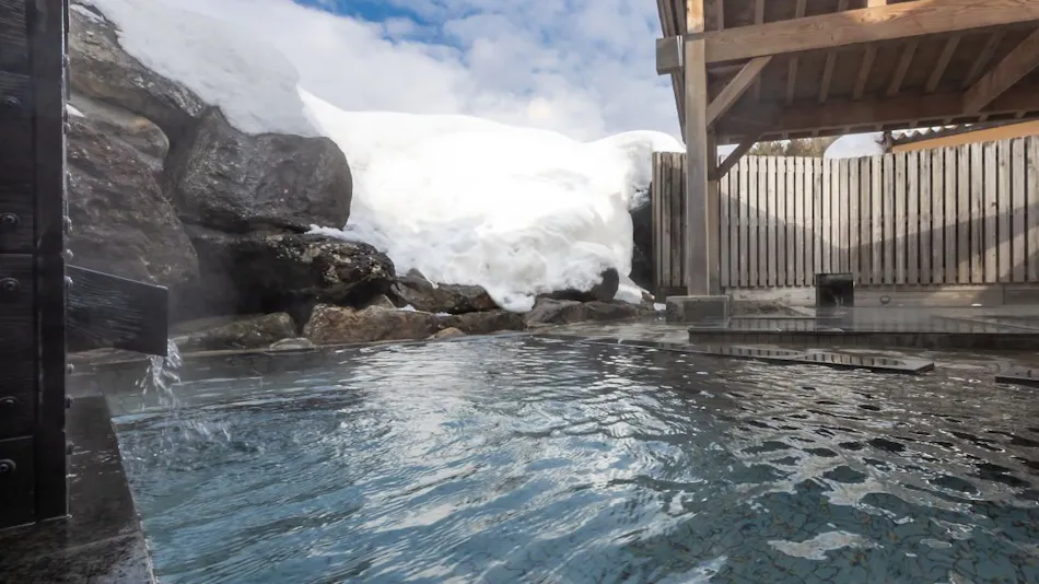 Natural Hot Spring Tazawako Lake Resort