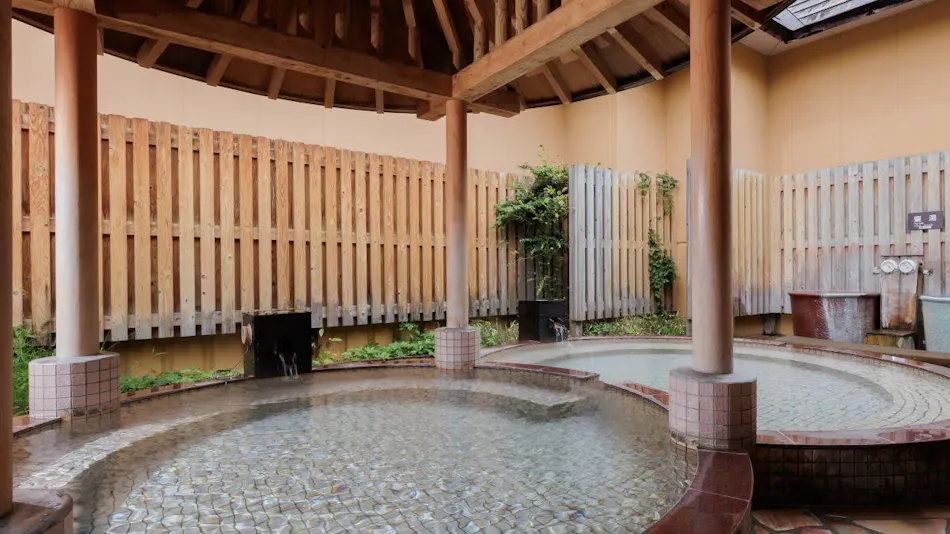 Natural Hot Spring Tazawako Lake Resort