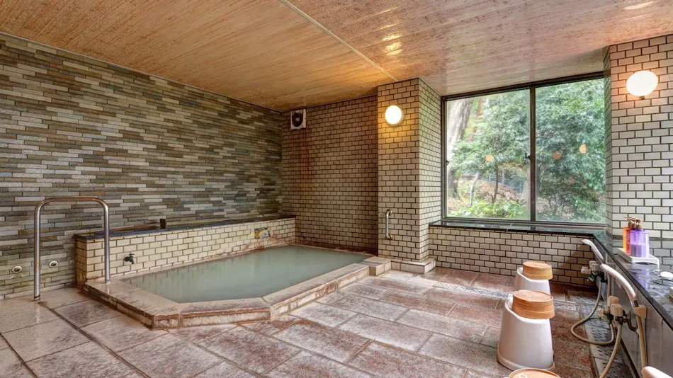 Hakone Gora Onsen Mizunokaori