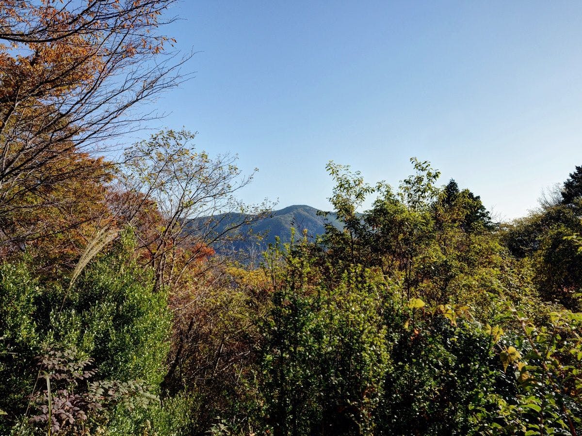 Hakone Gora Onsen Mizunokaori