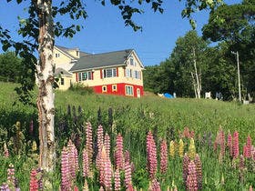 ペンション星に願いを