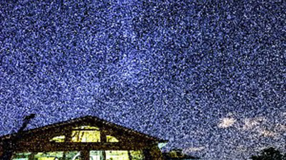 Pension Wish Upon a Star