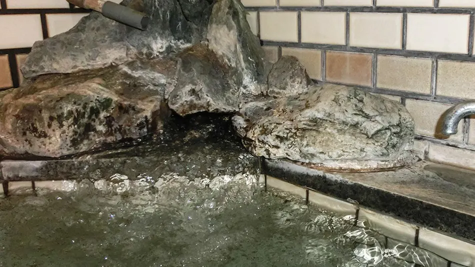 Hanasaki Onsen Yoshiya Inn