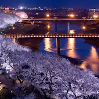 มีการจัดงานประดับไฟ!