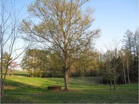 ノーザンロッジカント