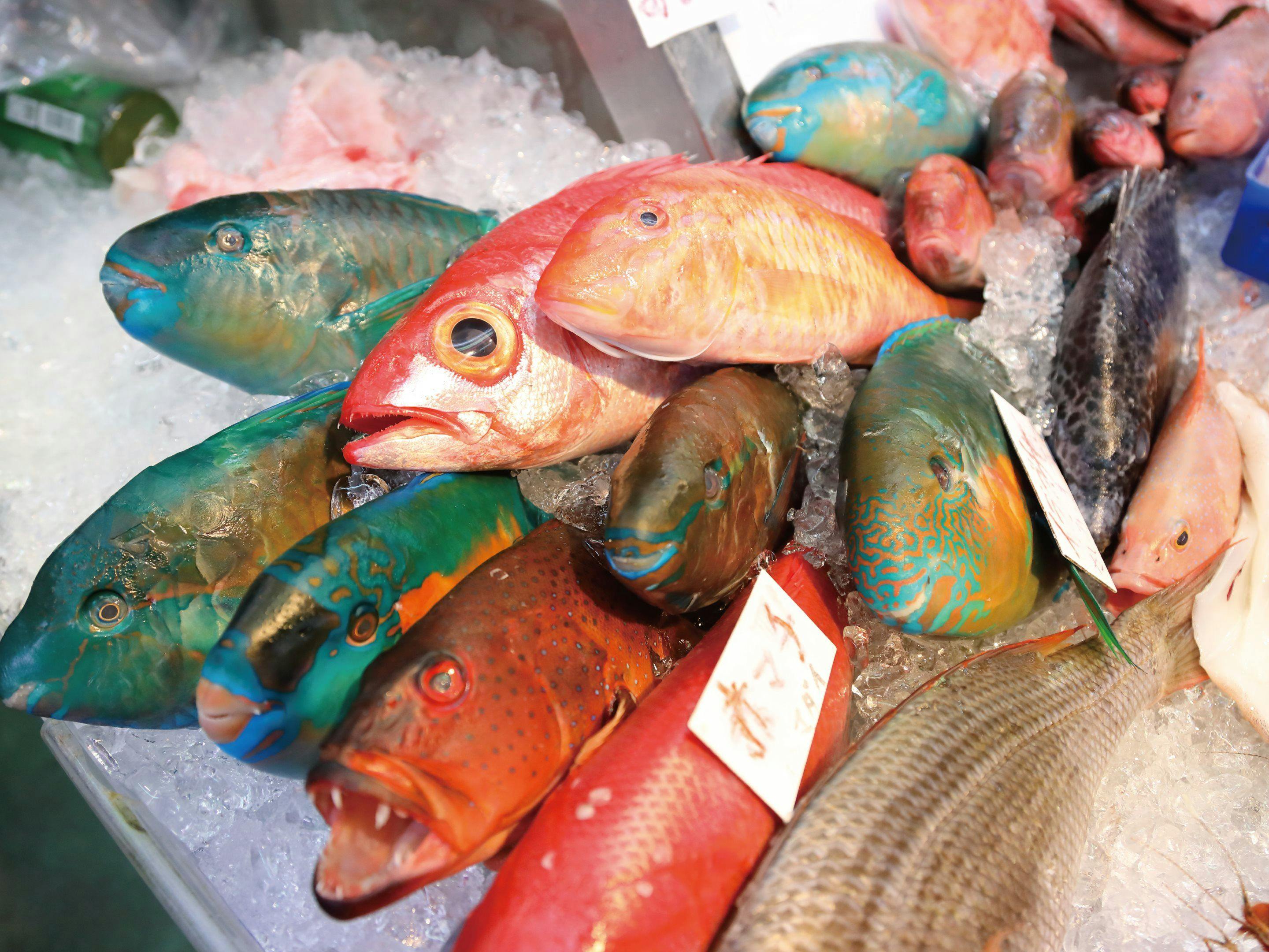 ซื้ออาหารที่ตลาด (เดิน 3 นาที)