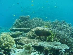 ペンション海のなかま