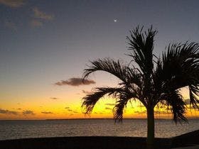 ペンション海のなかま