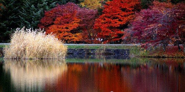 ทะเลสาบทาเทชินะในฤดูใบไม้ร่วง