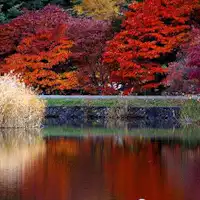 ทะเลสาบทาเทชินะในฤดูใบไม้ร่วง