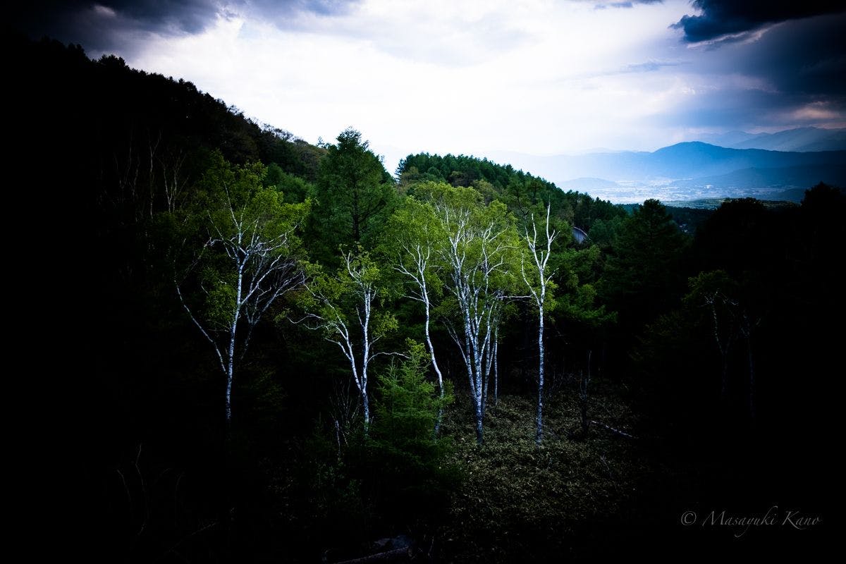 มิถุนายน - ความเขียวขจีของทาเตชินะ