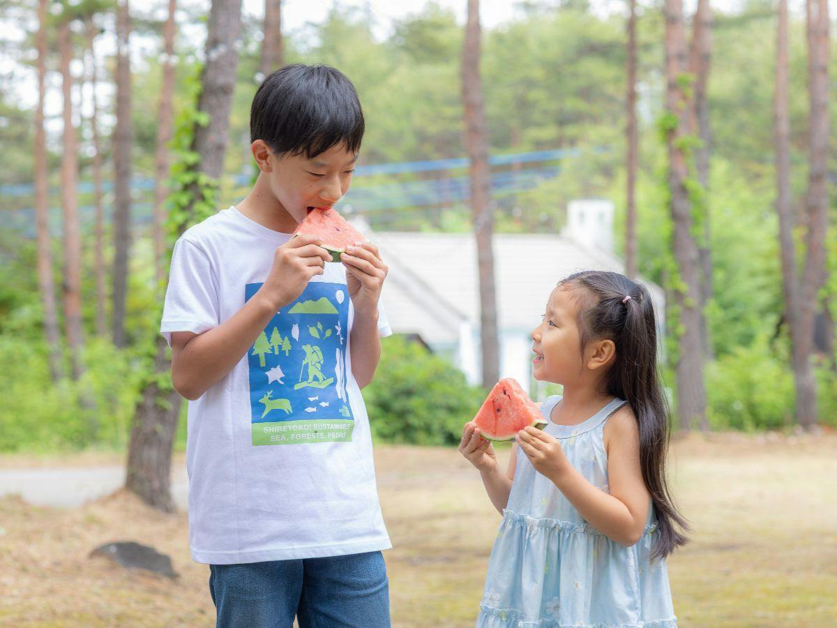 Holiday Villa Hotel & Resort Karuizawa
