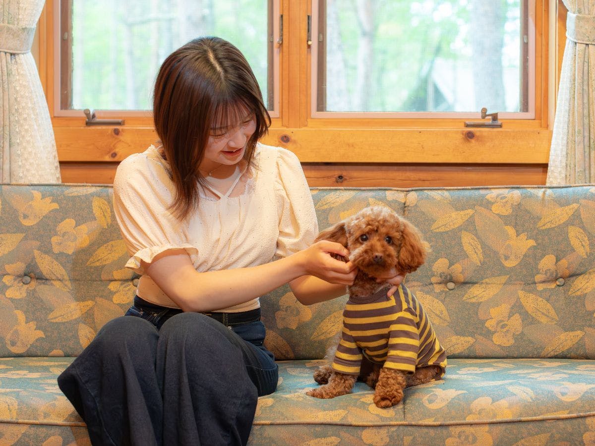 반려견과 함께 코티지에 숙박하실 수 있습니다!