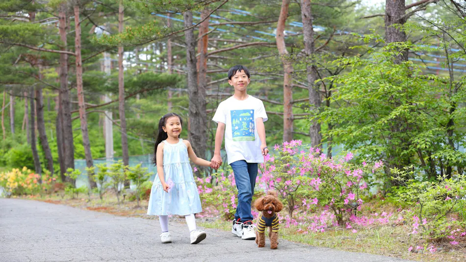 Holiday Villa Hotel & Resort Karuizawa