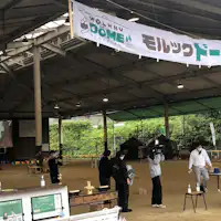 สนามแข่งขัน Mölkky ที่อยู่ติดกัน!