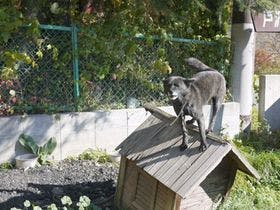 夢見る河口湖　コテージ戸沢センター