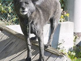 夢見る河口湖　コテージ戸沢センター