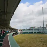 สนามไดร์ฟกอล์ฟ