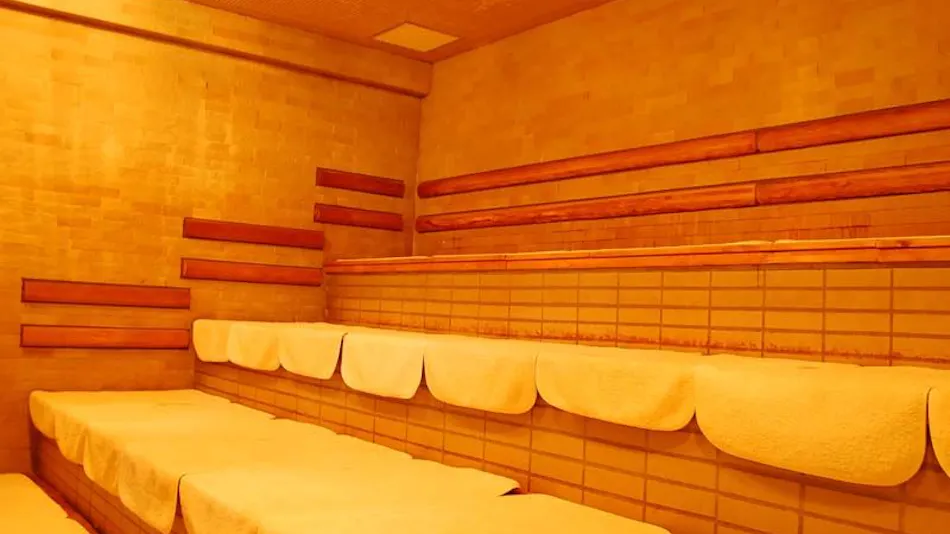 Shichijo Onsen Dome