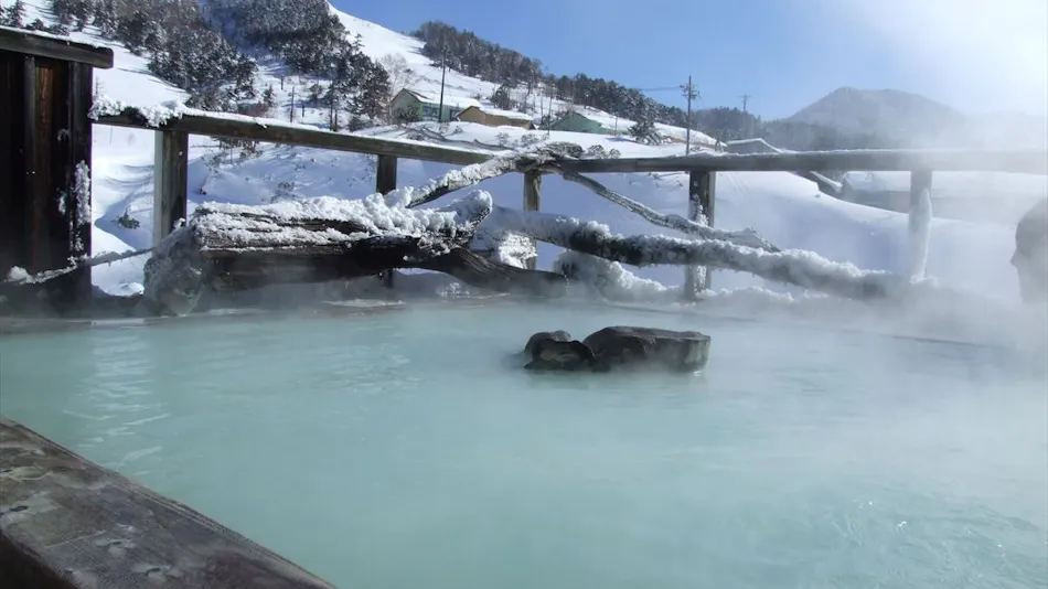 Manza Onsen Nisshinkan