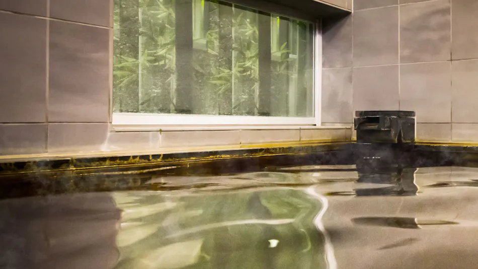 Natural Hot Spring Hakuchou no Yu Super Hotel Kushiro Station Front