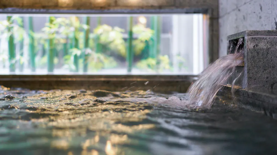Natural Hot Spring Mashiko no Yu Super Hotel Utsunomiya
