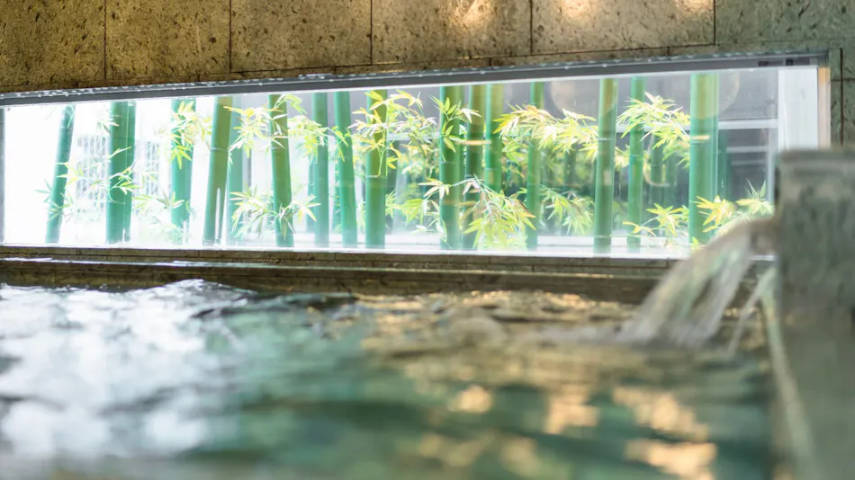 Natural Hot Spring Mashiko no Yu Super Hotel Utsunomiya