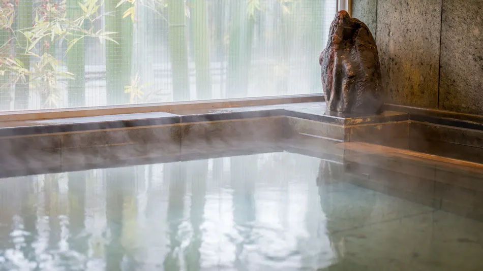 Natural Hot Spring Iyo no Yu Super Hotel Niihama
