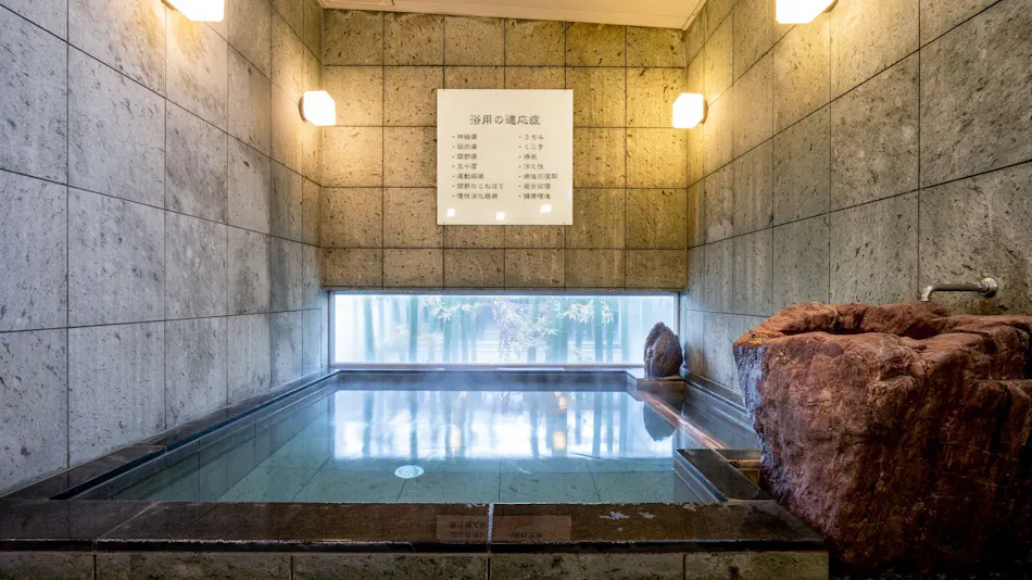 Natural Hot Spring Iyo no Yu Super Hotel Niihama