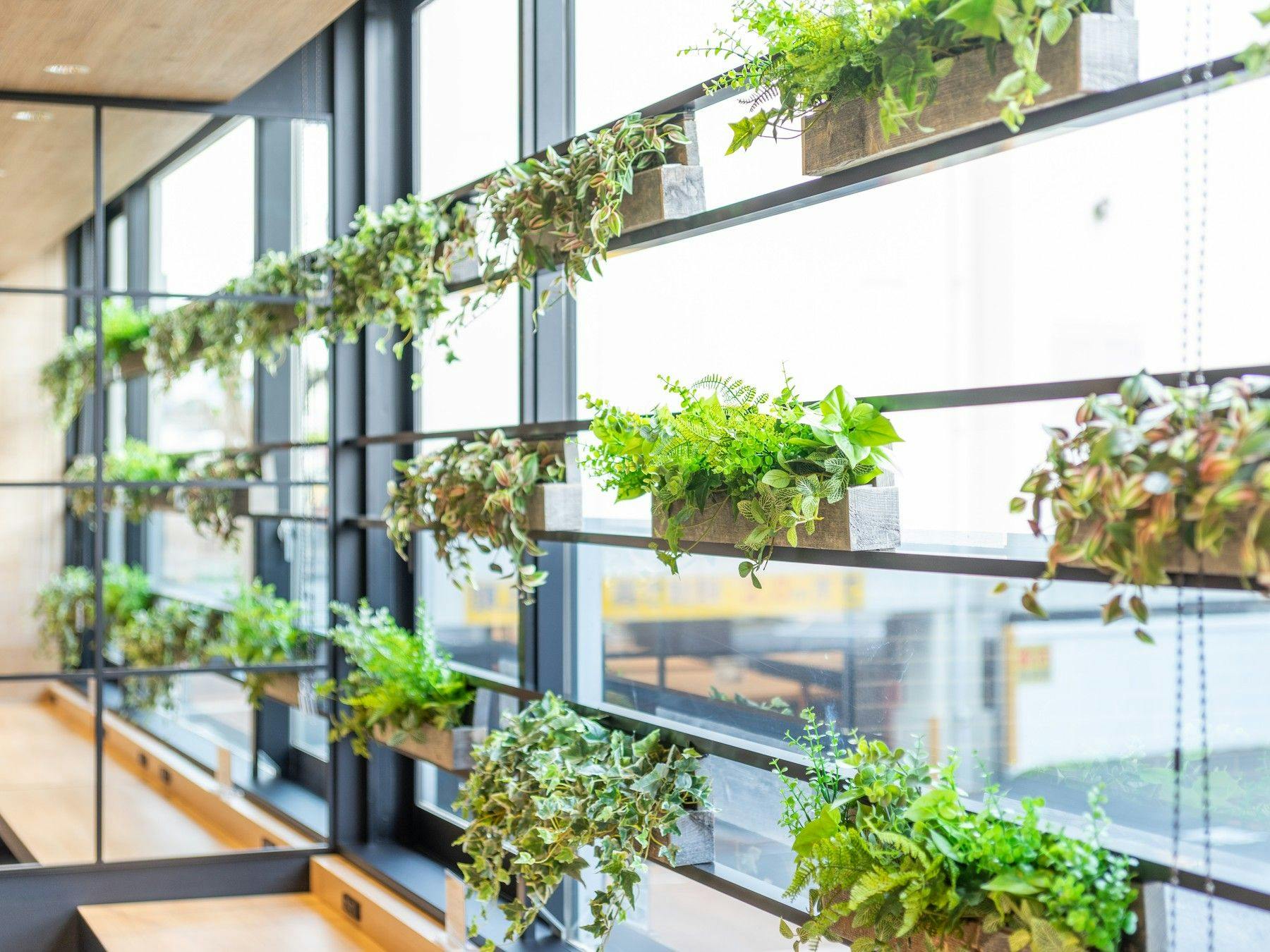 아침 햇살을 받으며 기분 좋은 아침을 맞이하세요.