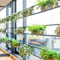 아침 햇살을 받으며 기분 좋은 아침을 맞이하세요.