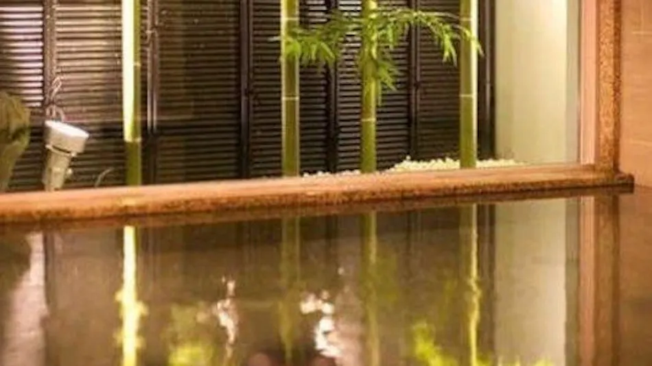 Natural Hot Spring Oirase no Yu Super Hotel Towada Natural Hot Spring