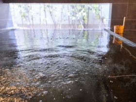 スーパーホテル 品川・新馬場 （SUPER HOTEL）