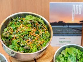スーパーホテル 品川・新馬場 （SUPER HOTEL）