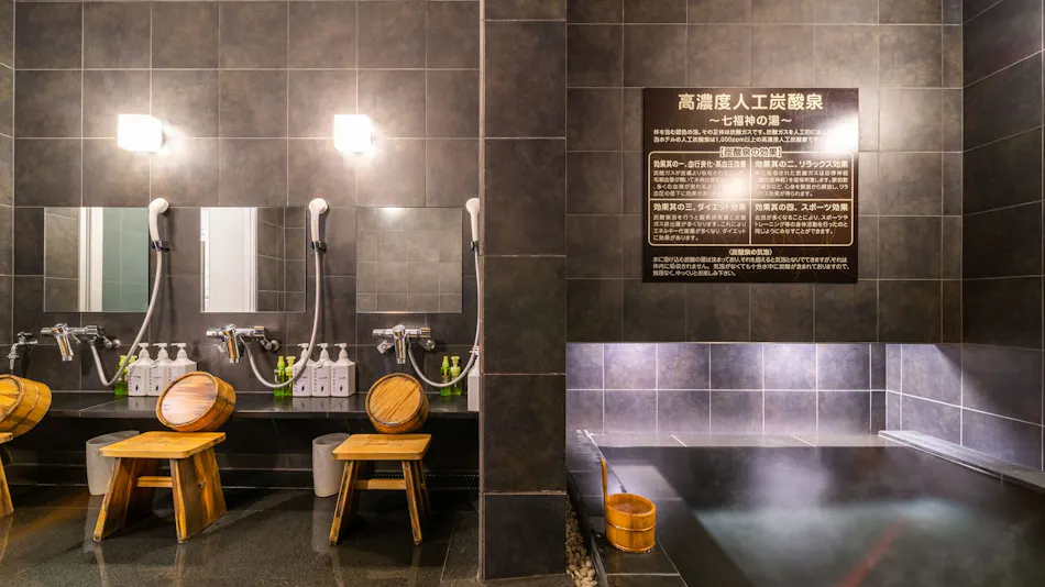 High Concentration Carbonated Spring Shichifukujin no Yu Super Hotel Shinagawa Shinbamba