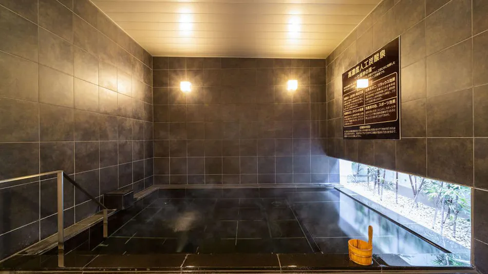 High Concentration Carbonated Spring Shichifukujin no Yu Super Hotel Shinagawa Shinbamba