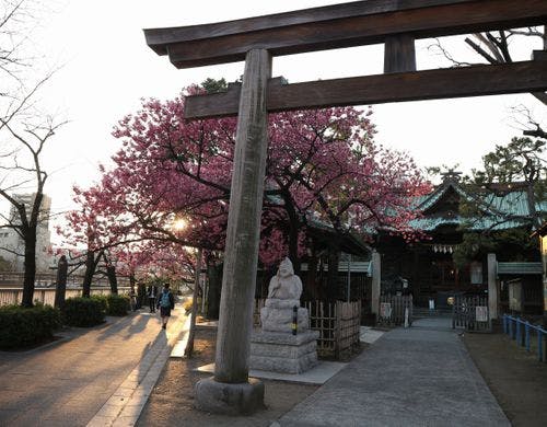 荏原神社。ホテルから徒歩1分