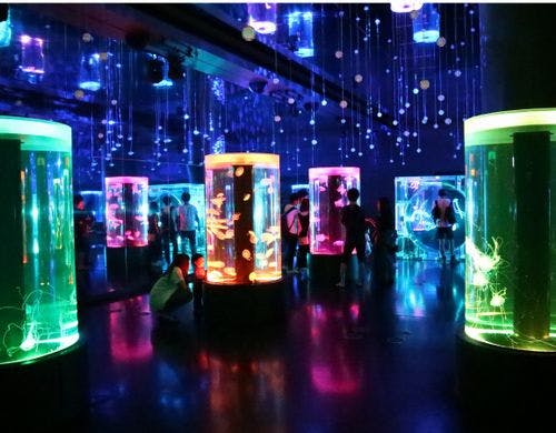 マクセルアクアパーク