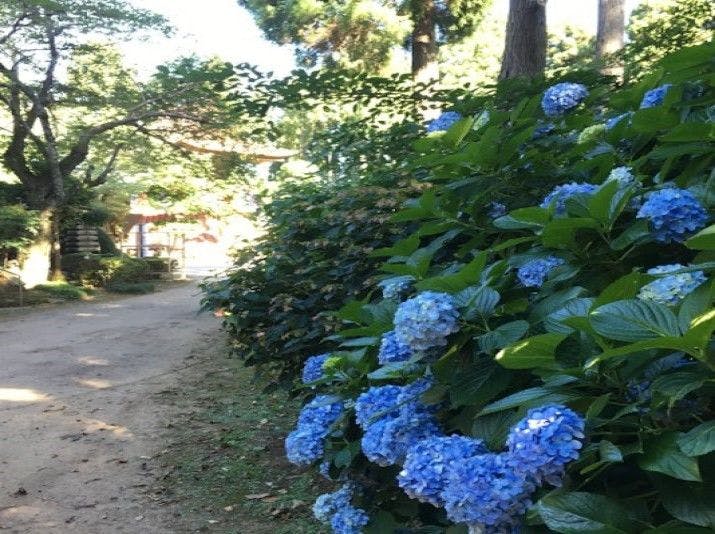 Masugataya Ryokan