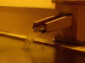 かけ流し源泉の宿　渋の湯