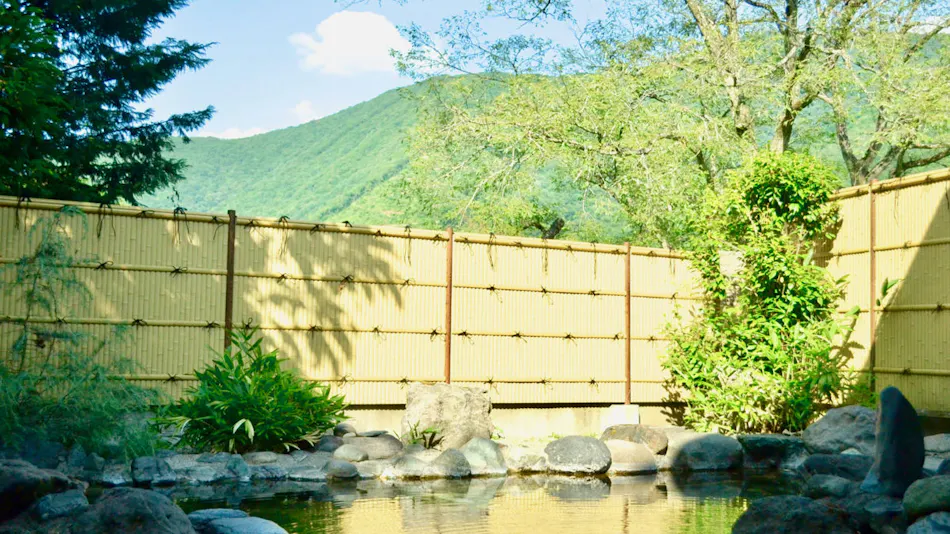 Aizu Ashinomaki Onsen Ashinomaki Prince Hotel