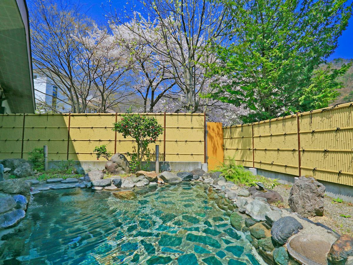Aizu Ashinomaki Onsen Ashinomaki Prince Hotel