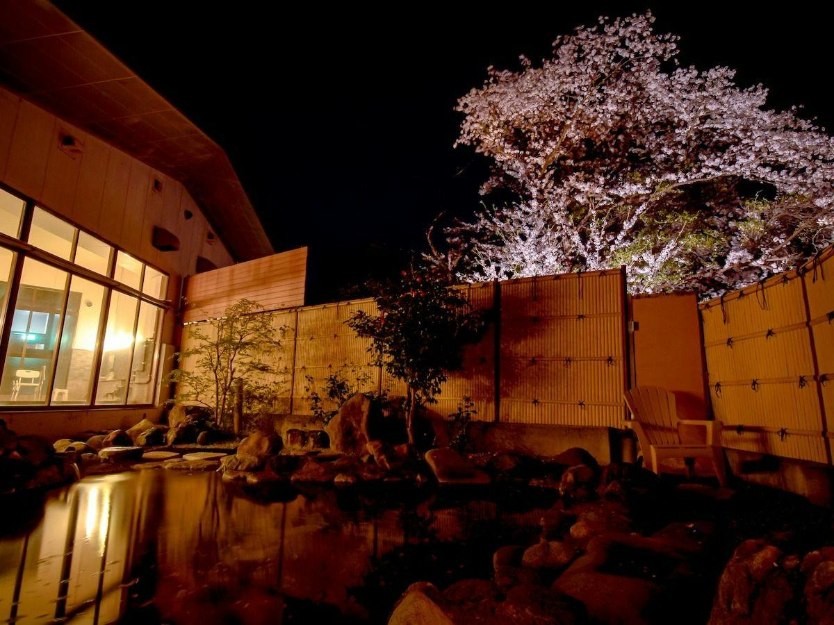 Aizu Ashinomaki Onsen Ashinomaki Prince Hotel