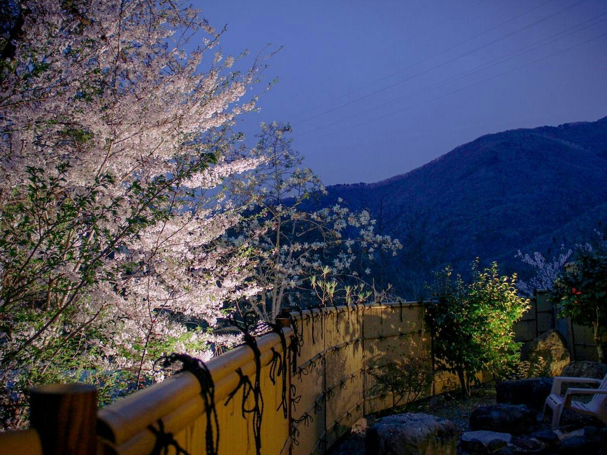 Aizu Ashinomaki Onsen Ashinomaki Prince Hotel