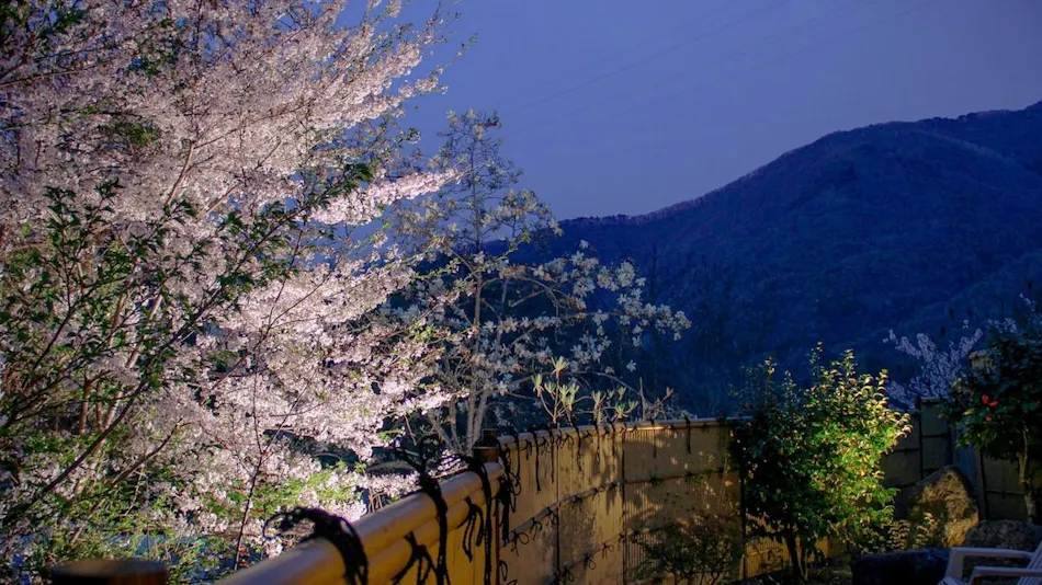 Aizu Ashinomaki Onsen Ashinomaki Prince Hotel